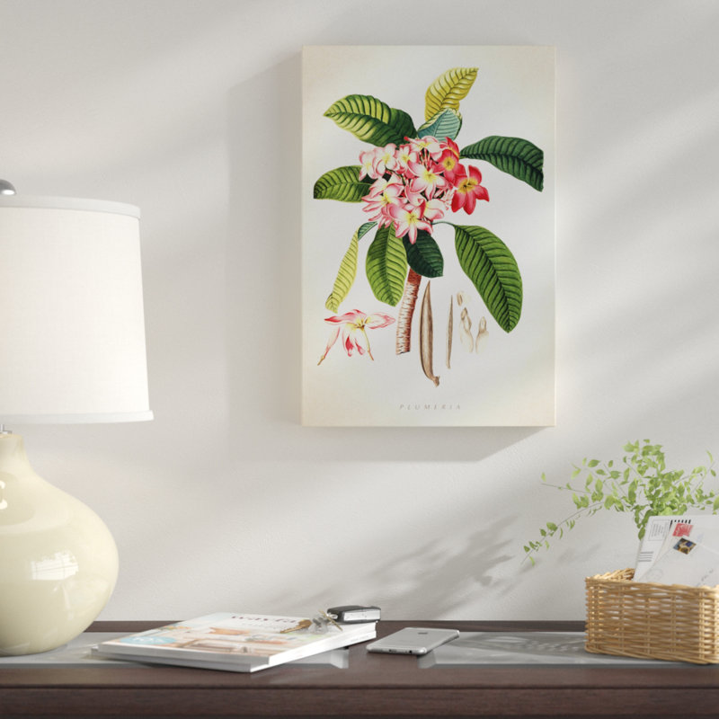 «Plumeria Botanical Print», impression sur toile, H 60 po x l 40po x P 1,5 po, Toile tendue, Pas de tapis