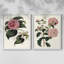 «Pink Floral Mix III» - reproduction encadrée de qualité supérieure - prête à être accrochée - aucun clou requis - aucun clou requis-555992871-555992864