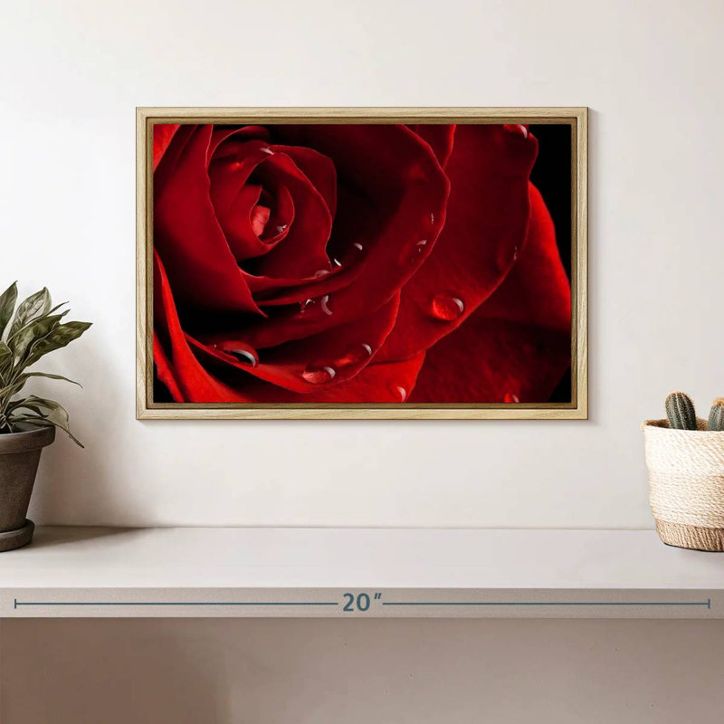 Fresh Red Rose, Floating Frame Natural Wood, 13" X 9"