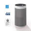 Purificateur d'air au carbone HEPA Winix T810