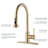 ESHOO Pull Down Kitchen Faucet with Soap Dispenser-70114401