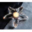Starfish Tealight