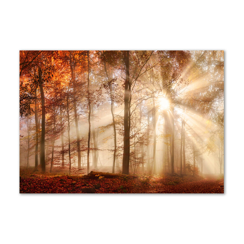 Fog In The Autumn Forest - Wrapped Canvas Print