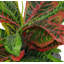 40cm Faux Plant in Pot Liner
