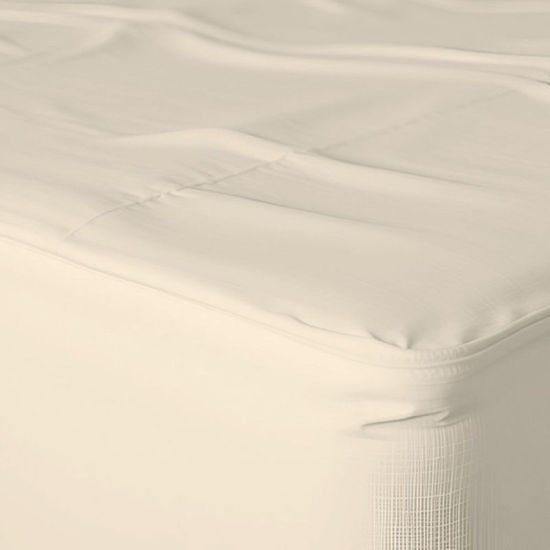 Paul's Microfibre Super Soft Brushed Deep Fitted Bed Sheet, Double (4'6), Cream