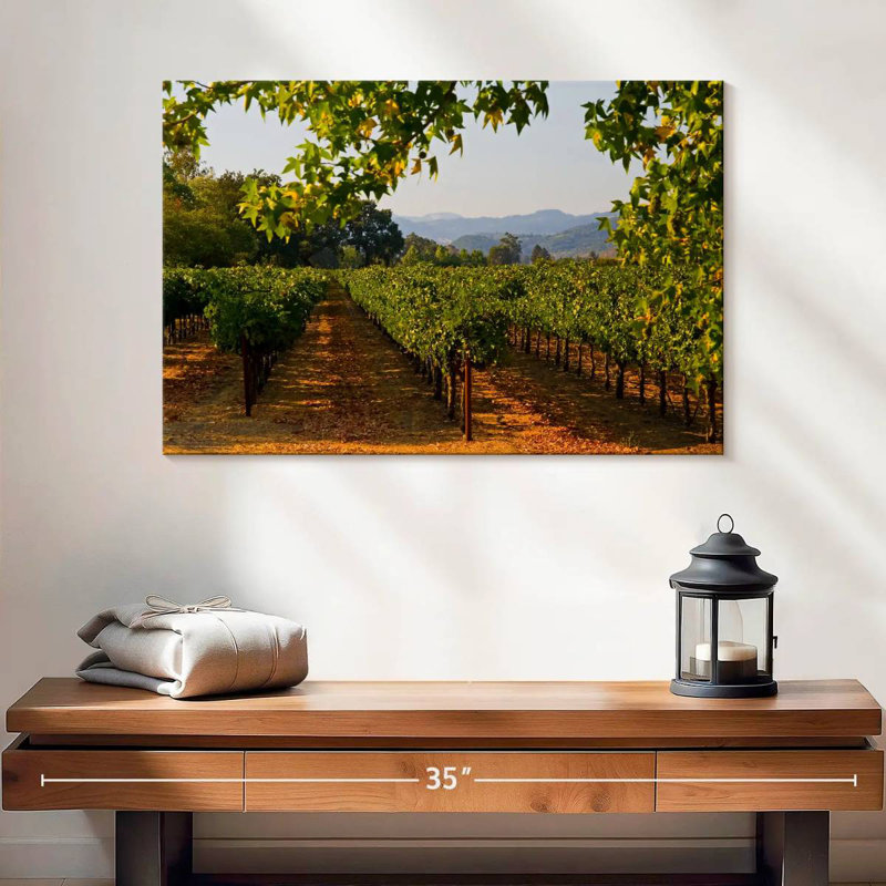 Alvord Napa Vineyard Sunset, H 16 po x l 24 po