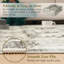 Dezrae Oriental 120cm X 170cm Area Rug