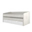 Rayo European Single (90 X 200 Cm) Daybed with Storage Included with Trundle Included-1388197041-1388197042