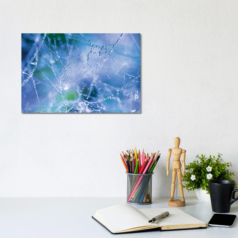 Spider Web by Mateusz Piesiak - Wrapped Canvas Print, 20.32 cm H x 30.48 cm W