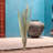 Elmhur Arrangement-1031606647