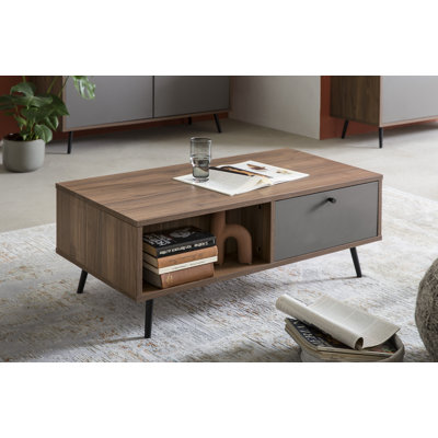 Ojeda Four Leg Coffee Table with Storage