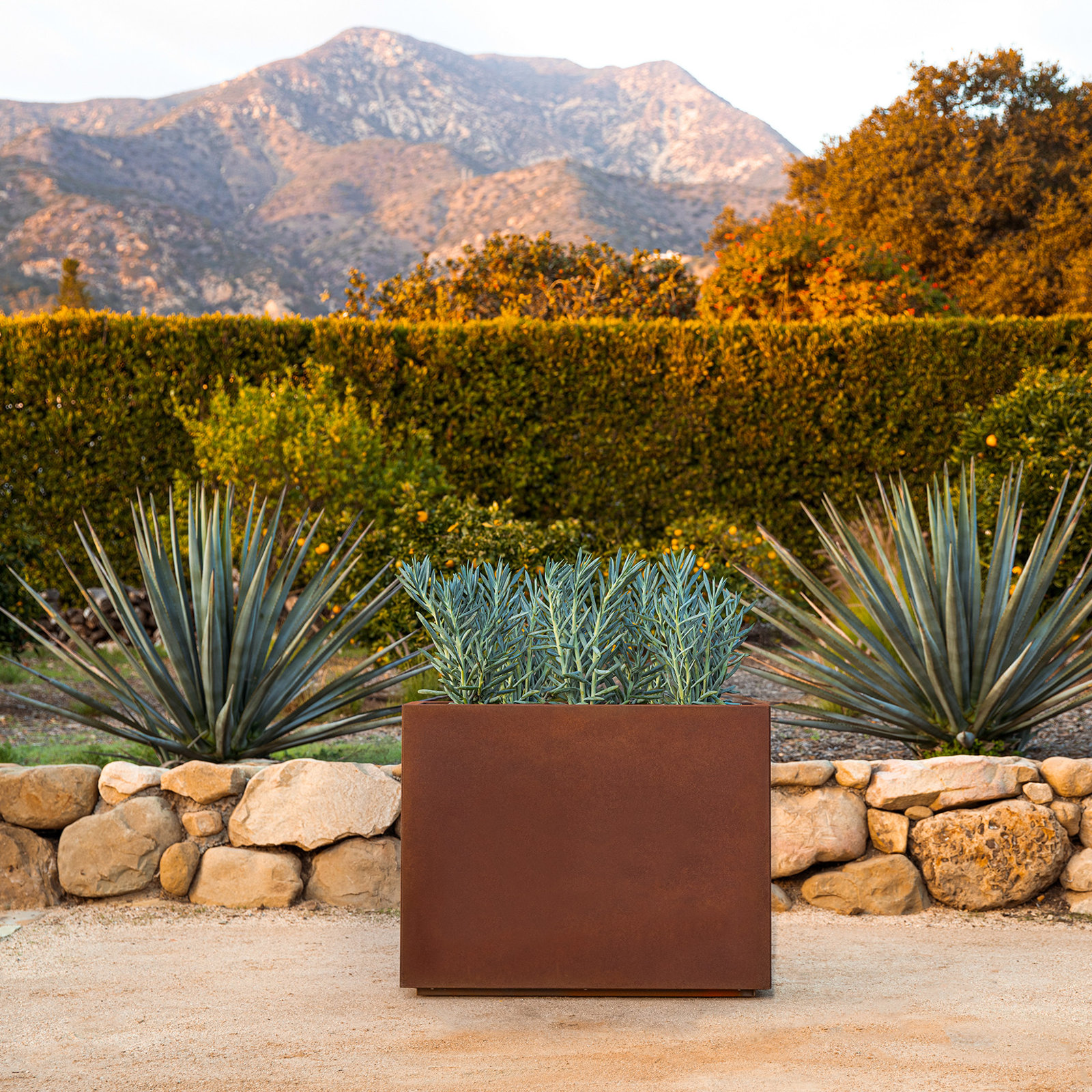 Corten Steel Series Planter Box, 24" H x 30" W x 12" D