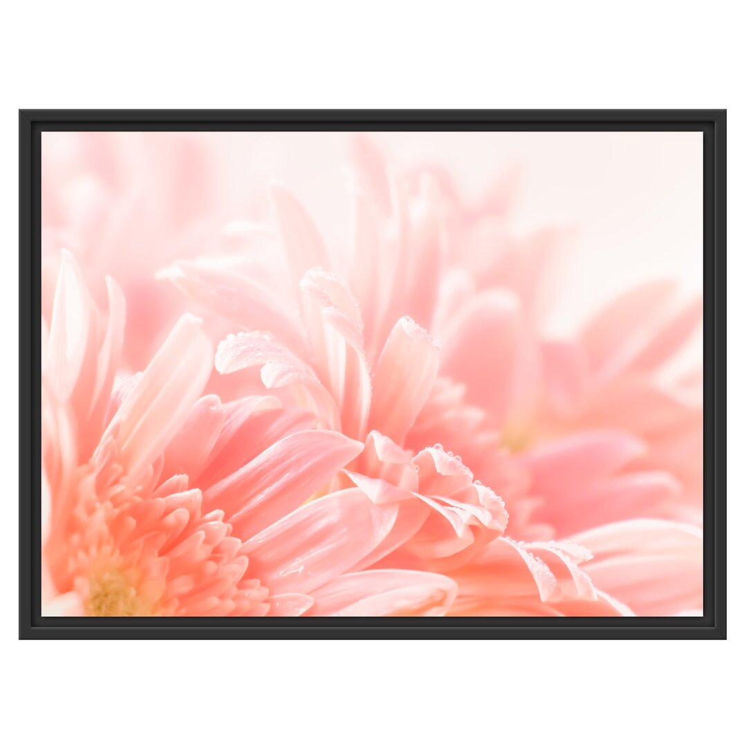 Gerahmtes Wandbild Gerbera Blume