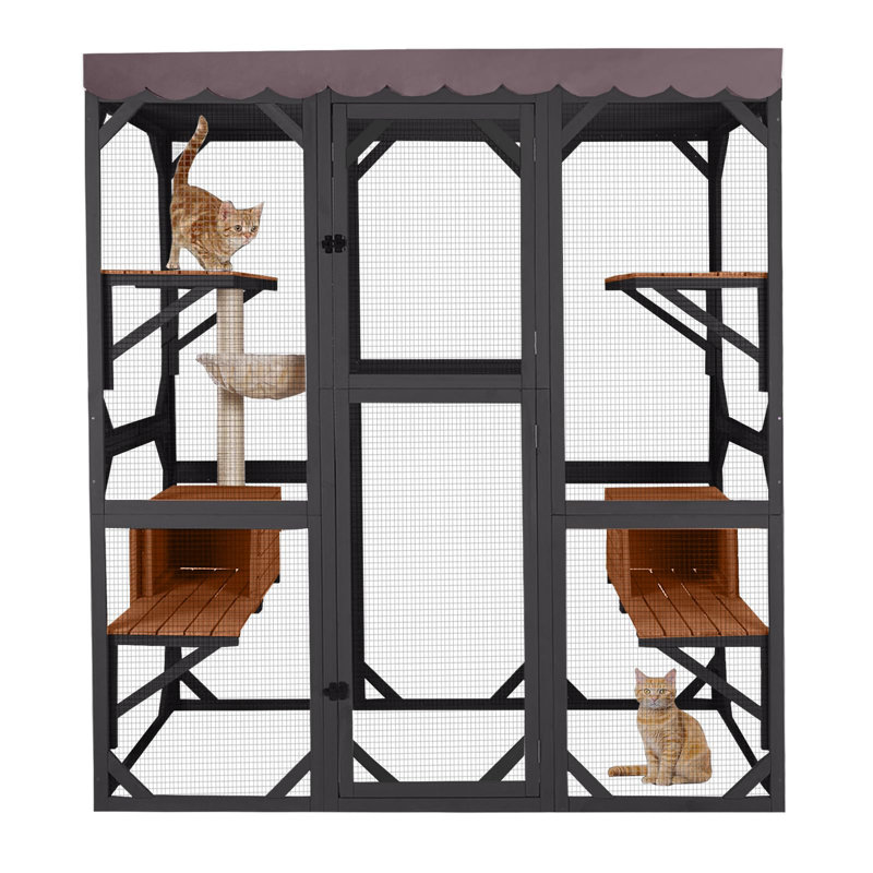 Grande cage à chat pour chat avec plusieurs chats Catio