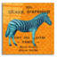 Art mural en verre Dakota Fields «Bright Safari Zebra» par Sue Schlabach-1691775465