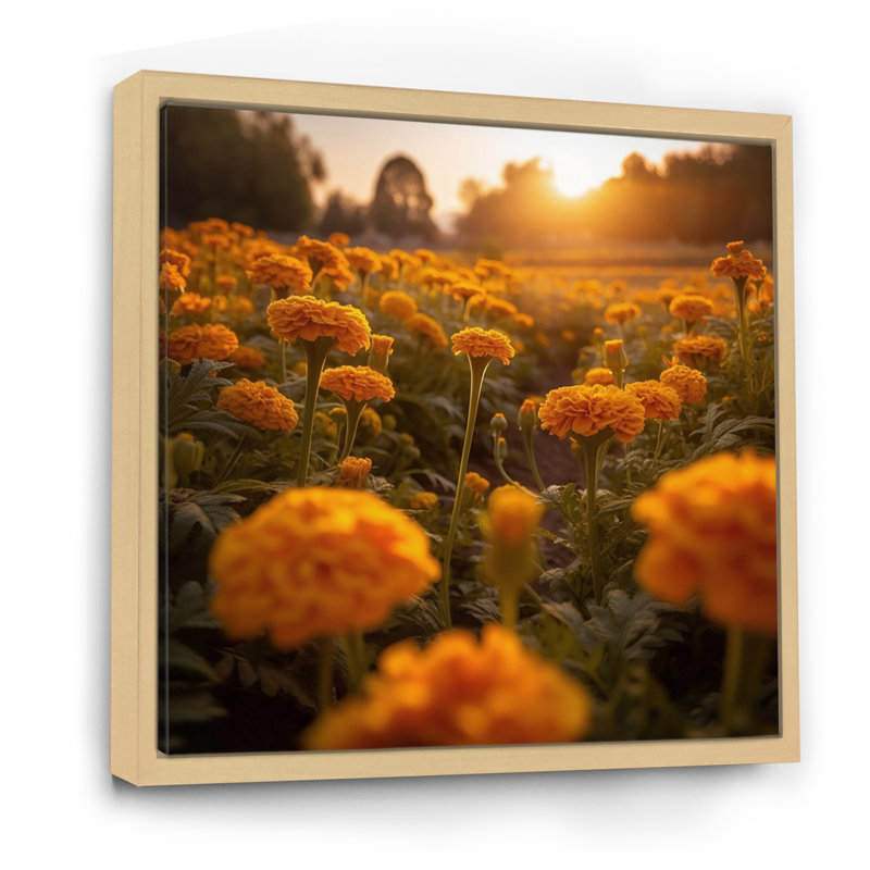 Jaune jaune vert souci II, H 16 po x l 16 po x P 1 po, Cadre naturel flottant