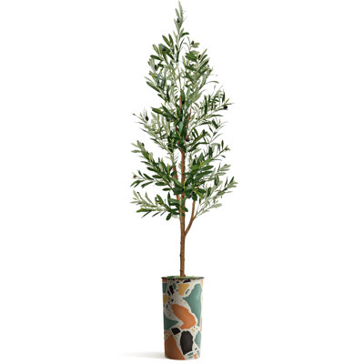68 plantes