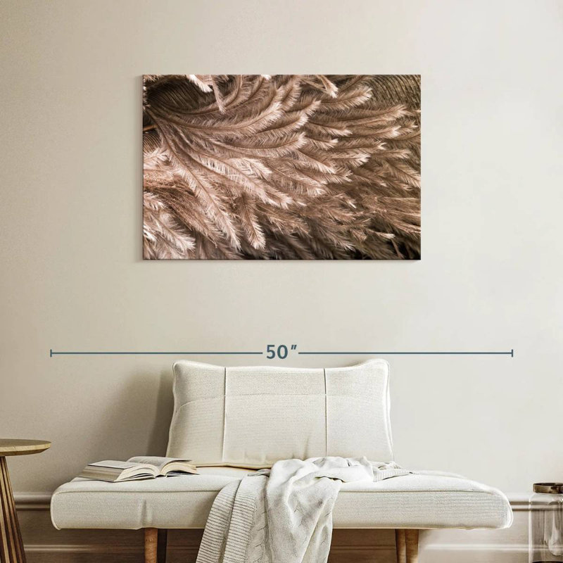 Brampt Ostrich Feathers, 24" H x 36" W