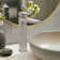 Lulani Boracay Single Hole Bathroom Faucet with Drain Assembly