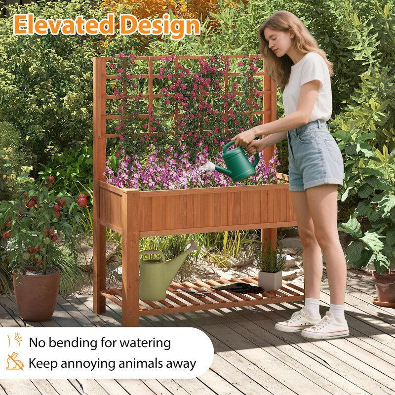 Elevated Planter