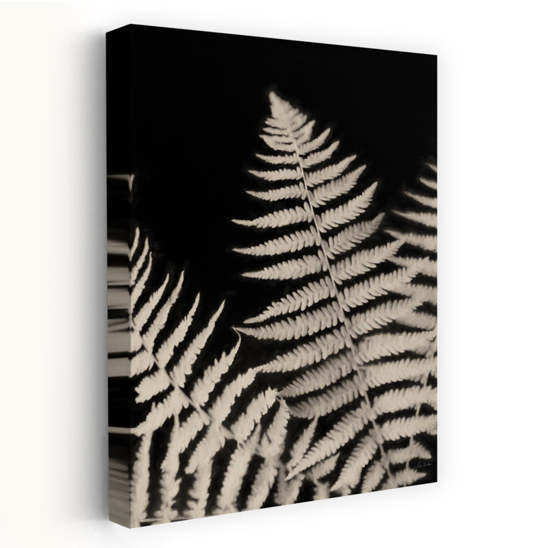 Forêt, fougères III, art contemporain abstrait, fougère naturelle, H 36 po x l 24 po