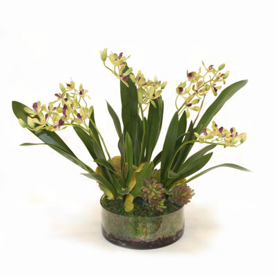 Amethyst Green Vanda Orchid Floral Arrangement in Vase