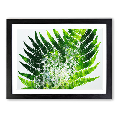 Fern Leaf Splash Vol.2 - Framed Print