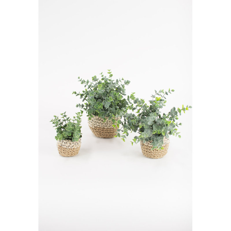 11'' Faux Eucalyptus Plant in Wicker/Rattan Pot