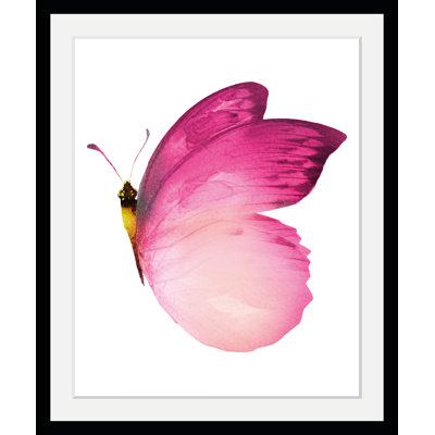 Butterfly - Single Picture Frame Print
