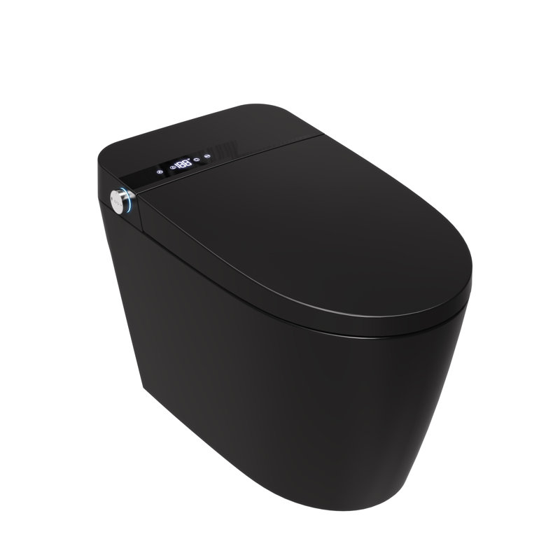 Toilette intelligente une pièce allongée avec affichage à DEL, laveuse / sécheuse chaude, télécommande, fermeture en douceur, siège chauffant, chasse d'eau automatique, veilleuse