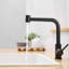 Robinet de lavabo noir avec robinets de salle de bain escamotables