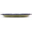 Forget Me Not Stoneware Platter