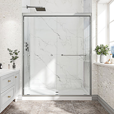Reversible Installation Double Bypass Sliding Shower Door