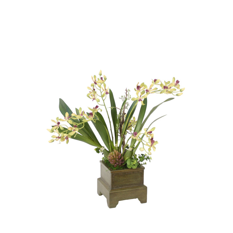 Orchidées vertes en pot vert antique