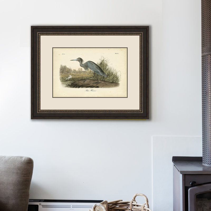 «Blue Heron» par John Audubon, reproduction de peinture à l'aquarelle encadrée