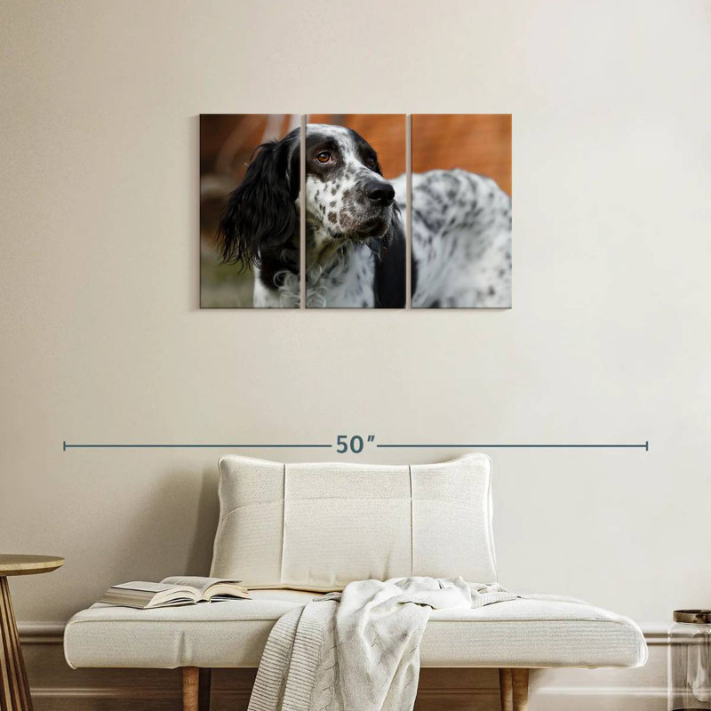 Spotted English Setter, 20" H x 33" W