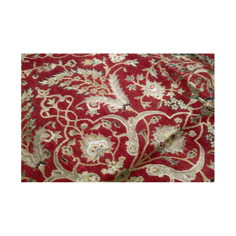 Oriental Area Rug