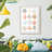 Bright Orbit I -Gallery Wrapped Canvas
