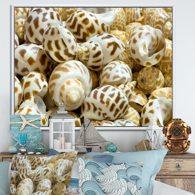 Gros plan de coquillages - art mural nautique et côtier sur toile, H 16 po x l 32 po x P 1 po, Cadre flottant blanc