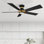 Aspen 52'' Smart Ceiling Fan With Remote, Light Kit Included, Works With Google Assistant And Amazon Alexa,Siri Shortcut.