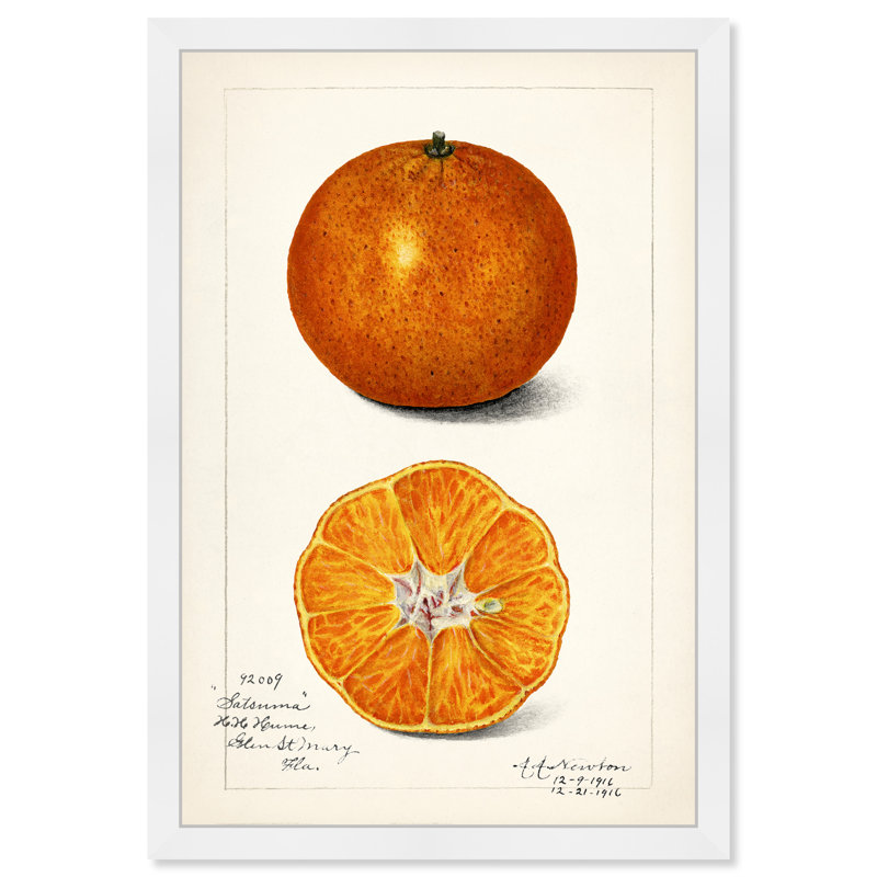 Nature morte par - reproduction de cadre photo, Blanc, H 32 po x l 22 po