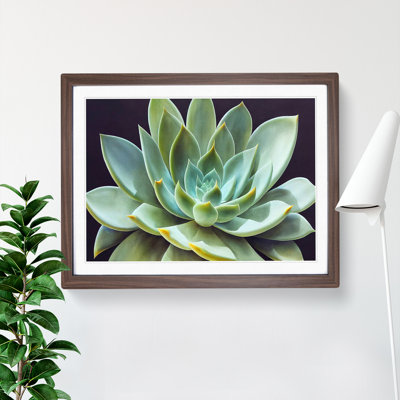 Watercolour Succulent Plant Vol.5 1 Piece Single Picture Frame Wall Art