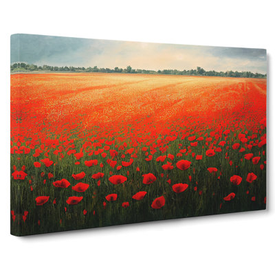 Beautiful Poppies Flowers - Wrapped Canvas Print