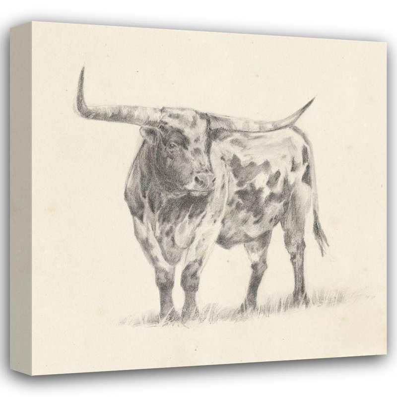 Art sur toile tendue par Foundry Select Harper, Ethan Gallery: Longhorn Steer S Croquis II, H 28 po x l 28 po