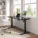 Malajia 55'' Height Adjustable Desk