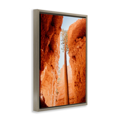 Cadre flottant Bryce Canyon, conception de Jade Sharp Photo