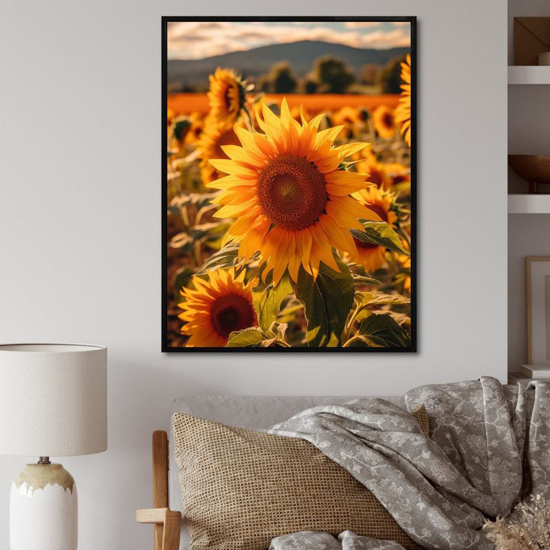 Tournesol doré au coucher du soleil I, H 32 po x l 24 po x P 1 po, Cadre flottant noir
