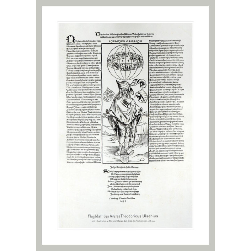 Illustration de la syphilis par Albrecht Dürer, impression giclée sur cadre, H 41,5 po x l 29,66 po