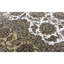 Wool Oriental Area Rug