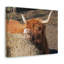 No Frame Print on Canvas-2037021769